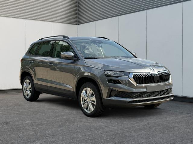 Skoda / Karoq / / / / 