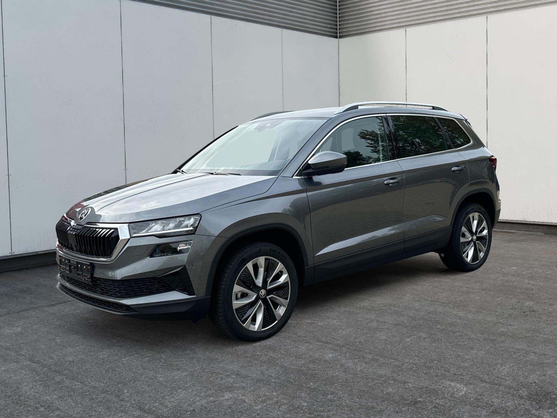 Skoda / Karoq / Grau /  /  / ACC+18''ALU+PDC+RFK+KESSY