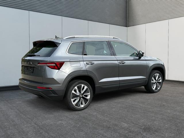 Skoda / Karoq / Grau / / / ACC+18''ALU+PDC+RFK+KESSY