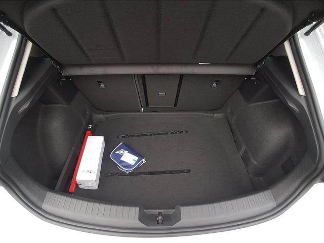 Seat Leon / EU-Neuwagen / Reimport, Beispielbilder, ggf. teilweise mit Sonderausstattung