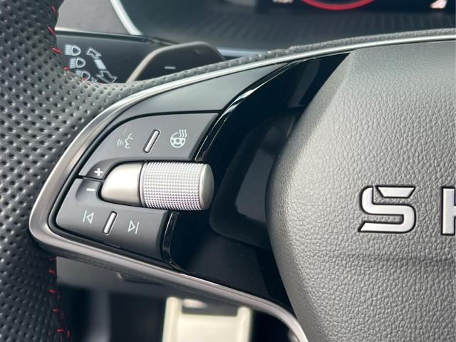 Skoda / Octavia Combi / Grau / / / PANO+NAVI+MATRIX+CANTON+19 LM+KAMERA