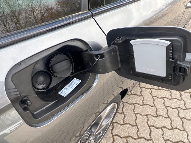 Skoda / Octavia Combi / Grau / / / PANO+NAVI+MATRIX+CANTON+19 LM+KAMERA