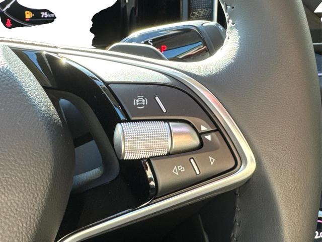 Skoda / Kodiaq / Silber / / / DSG+7 SITZE+AHK+EL. HECKKL.+NAVI+19'' ALU+ACC+KAMERA