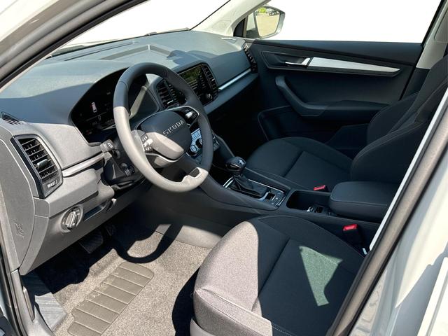 Skoda / Karoq / Grau / / / SHZ+ACC+KESSY+VICO+SMARTLINK+18'' ALU