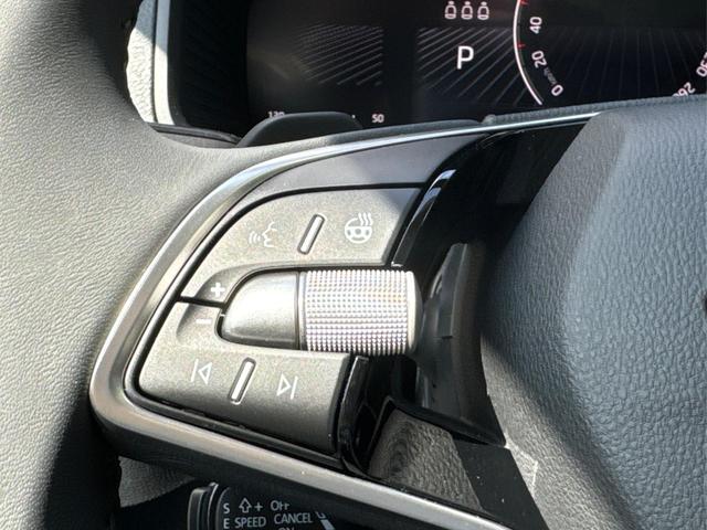 Skoda / Karoq / Grau / / / SHZ+ACC+KESSY+VICO+SMARTLINK+18'' ALU