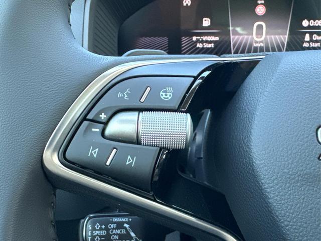 Skoda / Karoq / Schwarz / / / SHZ+ACC+KESSY+VICO+SMARTLINK+18'' ALU