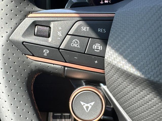 Cupra / Formentor / Schwarz / / / VOLL-LED+ACC+EL. HECKKL.+18 ALU