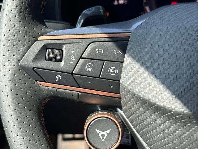 Cupra / Formentor / Grau / / / VOLL-LED+ACC+EL. HECKKL.+18 ALU