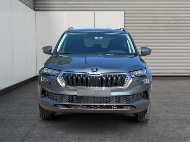 Skoda / Karoq / / / / , Beispielbilder, ggf. teilweise mit Sonderausstattung
