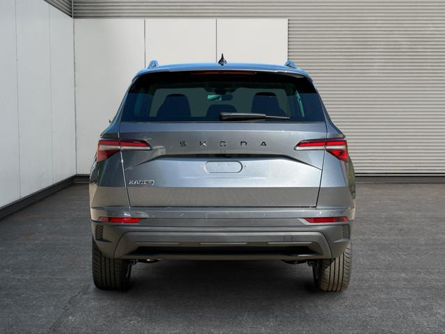 Skoda / Karoq / / / / , Beispielbilder, ggf. teilweise mit Sonderausstattung