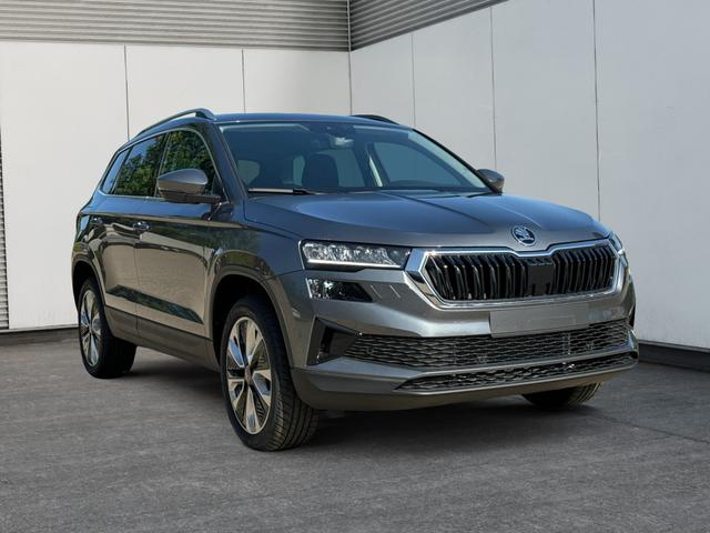 Skoda / Karoq / / / / , Beispielbilder, ggf. teilweise mit Sonderausstattung