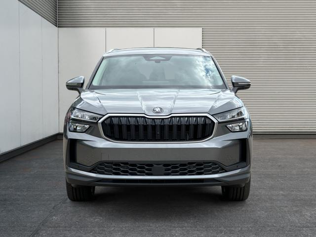 Skoda / Kodiaq / Grau / / / DSG+NAVI+19'' ALU+ACC+KAMERA