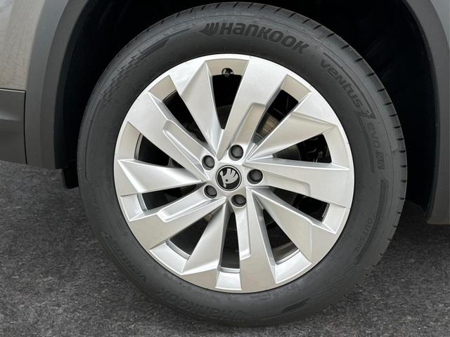 Skoda / Kodiaq / Grau / / / DSG+NAVI+19'' ALU+ACC+KAMERA