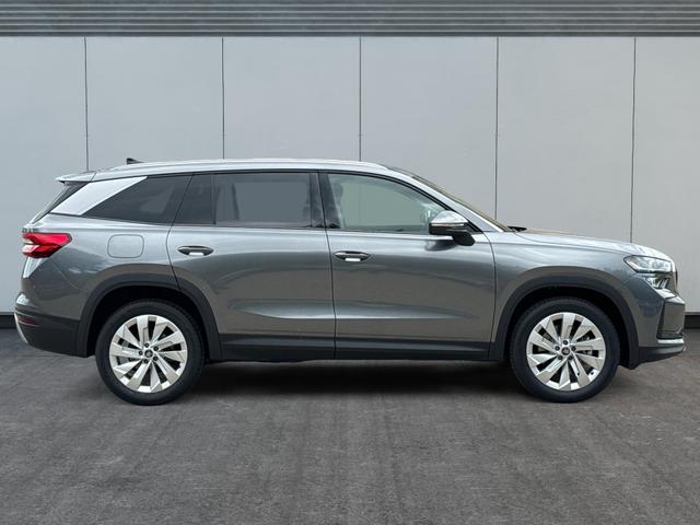 Skoda / Kodiaq / Grau / / / DSG+NAVI+19'' ALU+ACC+KAMERA