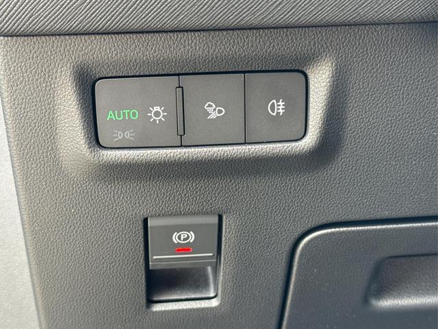 Skoda / Kodiaq / Grau / / / DSG+NAVI+19'' ALU+ACC+KAMERA
