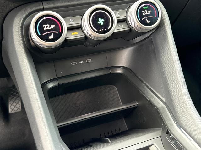 Skoda / Kodiaq / Grau / / / DSG+NAVI+19'' ALU+ACC+KAMERA