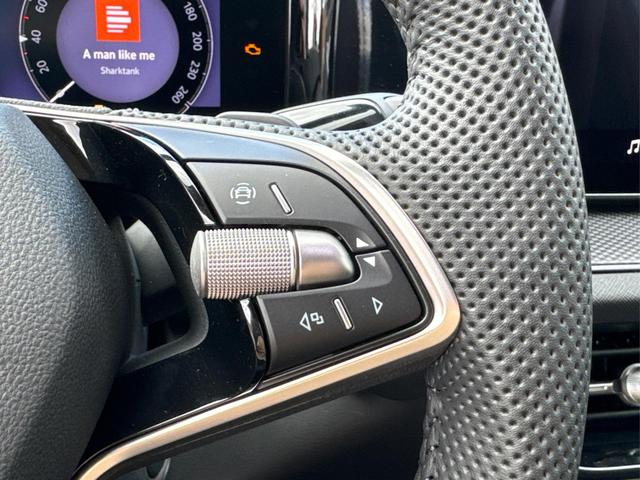 Skoda / Kodiaq / Grau / / / DSG+NAVI+19'' ALU+ACC+KAMERA
