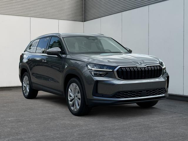 Skoda / Kodiaq / Grau / / / DSG+NAVI+19'' ALU+ACC+KAMERA