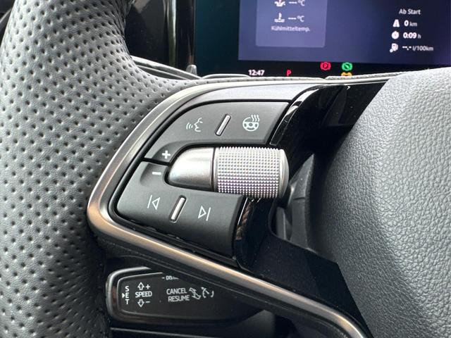 Skoda / Kodiaq / Schwarz / / / DSG+NAVI+19'' ALU+ACC+KAMERA