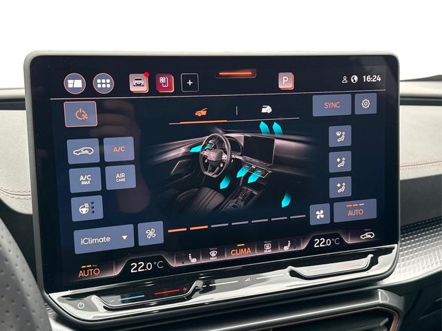 Cupra / Formentor / Grau / / / 4Drive KAMERA+EL. HECK.+VOLL-LED+ACC
