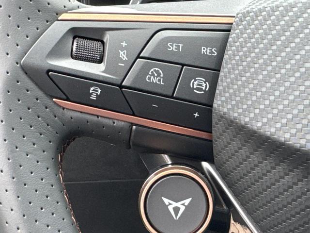 Cupra / Formentor / Grau / / / 4Drive KAMERA+EL. HECK.+VOLL-LED+ACC