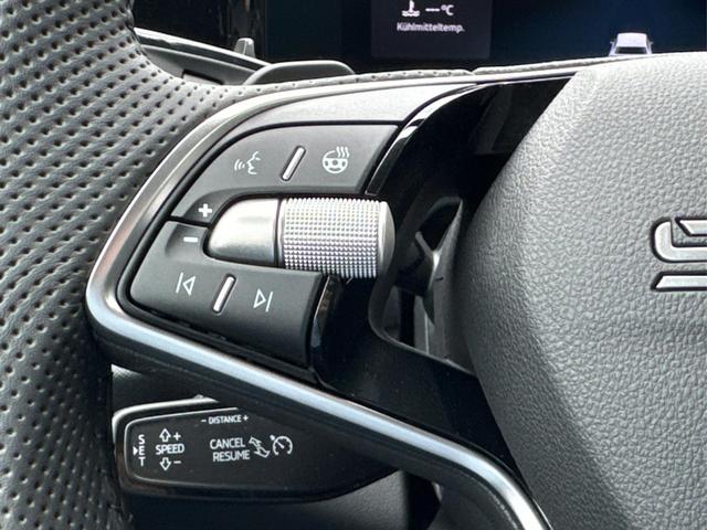 Skoda / Kodiaq / Grau / / / 4WD+DSG+NAVI+19'' ALU+ACC+KAMERA