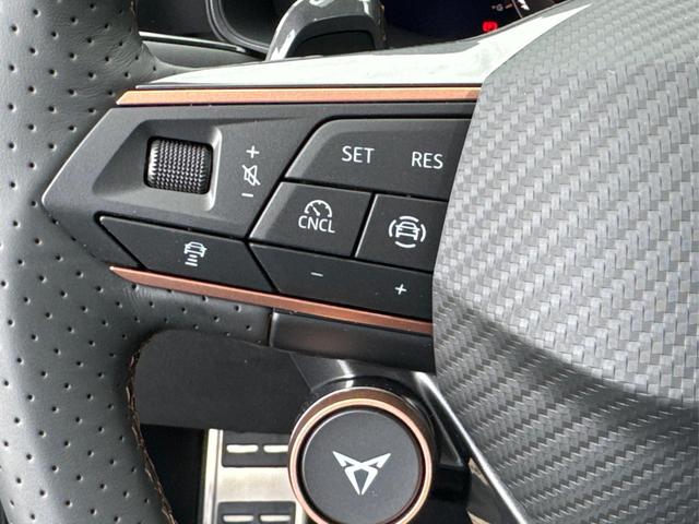 Cupra / Formentor / Blau / / / 4Drive KAMERA+EL. HECK.+VOLL-LED+ACC