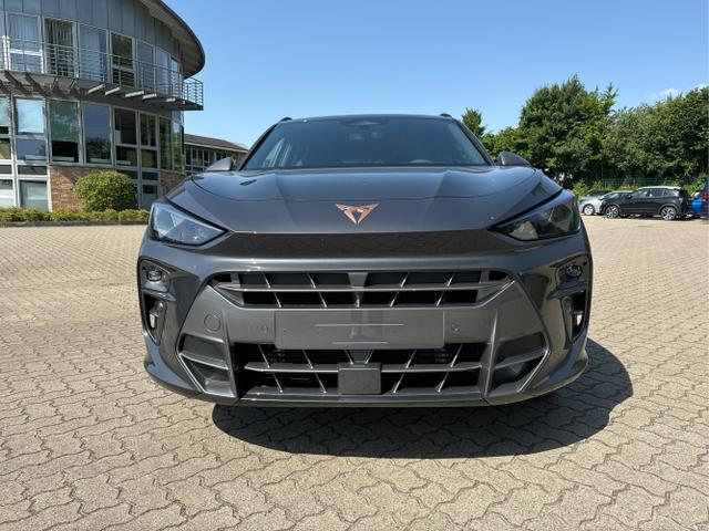 Cupra / Terramar / / / / 