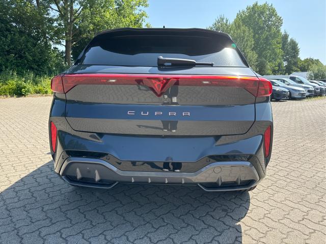 Cupra / Terramar / / / / 
