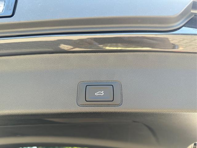 Cupra / Terramar / / / / 