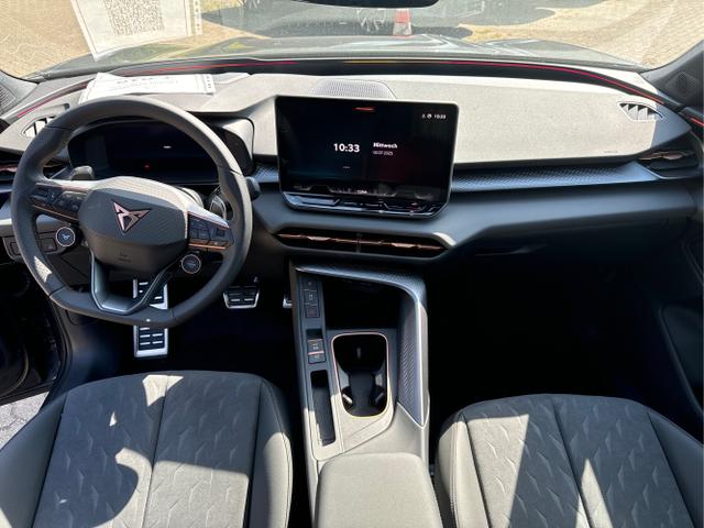 Cupra / Terramar / / / / 
