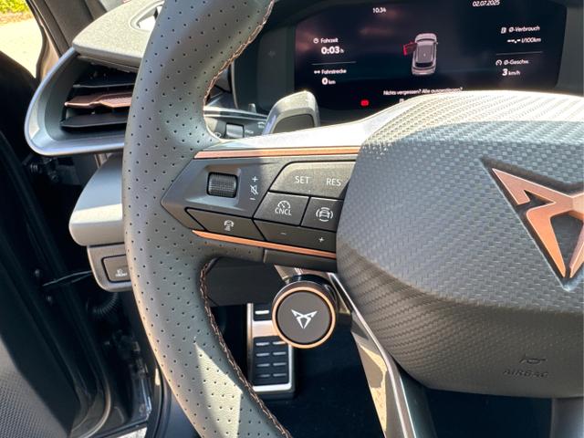 Cupra / Terramar / / / / 