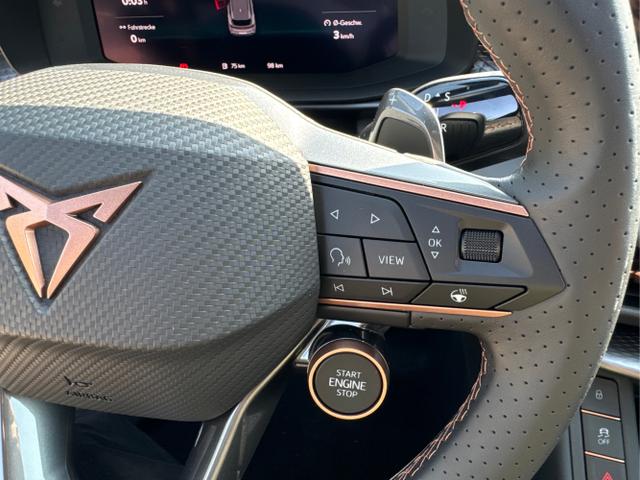 Cupra / Terramar / / / / 