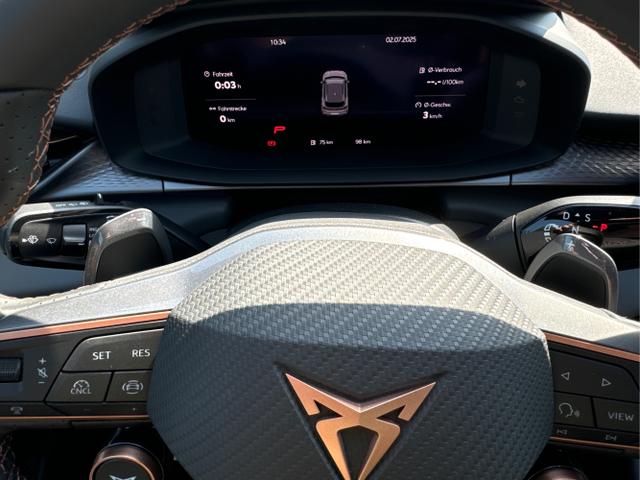 Cupra / Terramar / / / / 