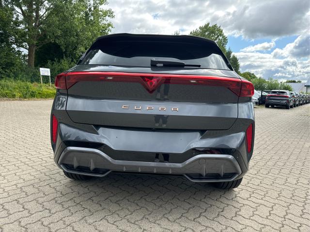 Cupra / Terramar / / / / 