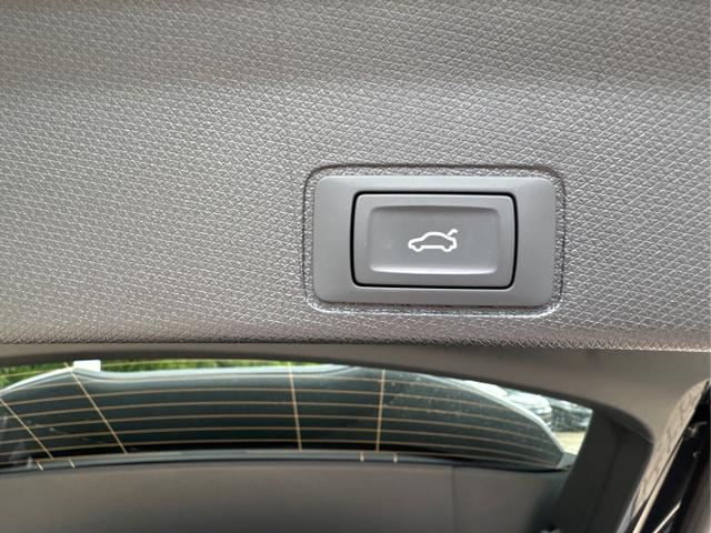 Cupra / Terramar / / / / 