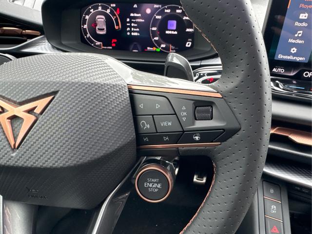 Cupra / Terramar / / / / 