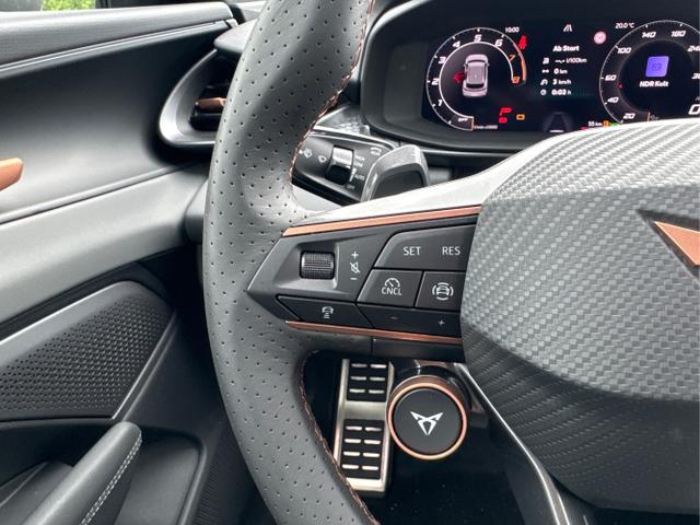 Cupra / Terramar / / / / 