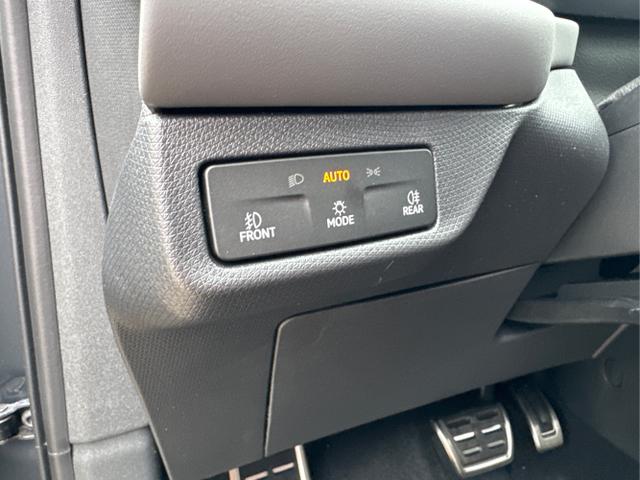 Cupra / Terramar / / / / 