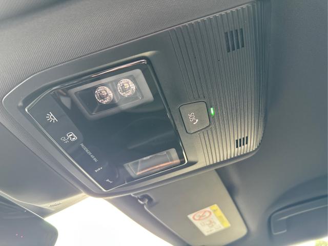 Cupra / Terramar / / / / 