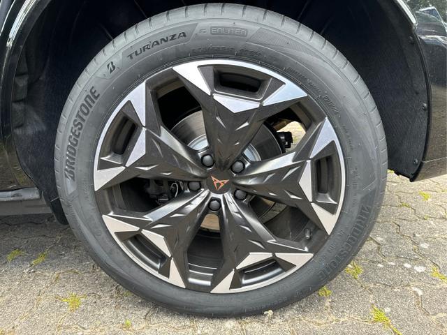 Cupra / Terramar / / / / 