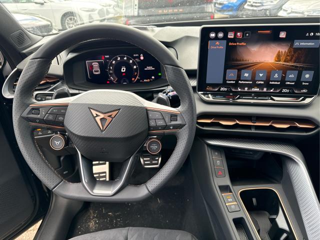Cupra / Terramar / / / / 