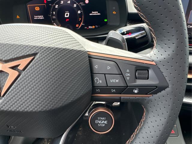 Cupra / Terramar / / / / 