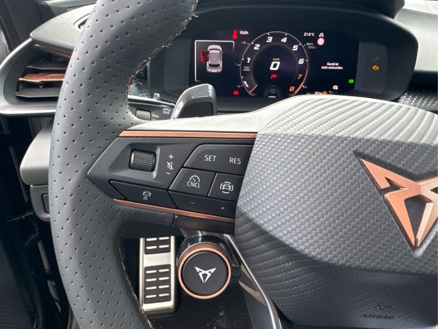 Cupra / Terramar / / / / 