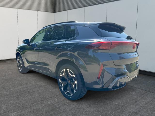 Cupra / Terramar / / / / 
