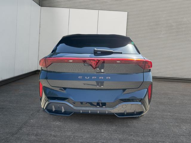 Cupra / Terramar / / / / 