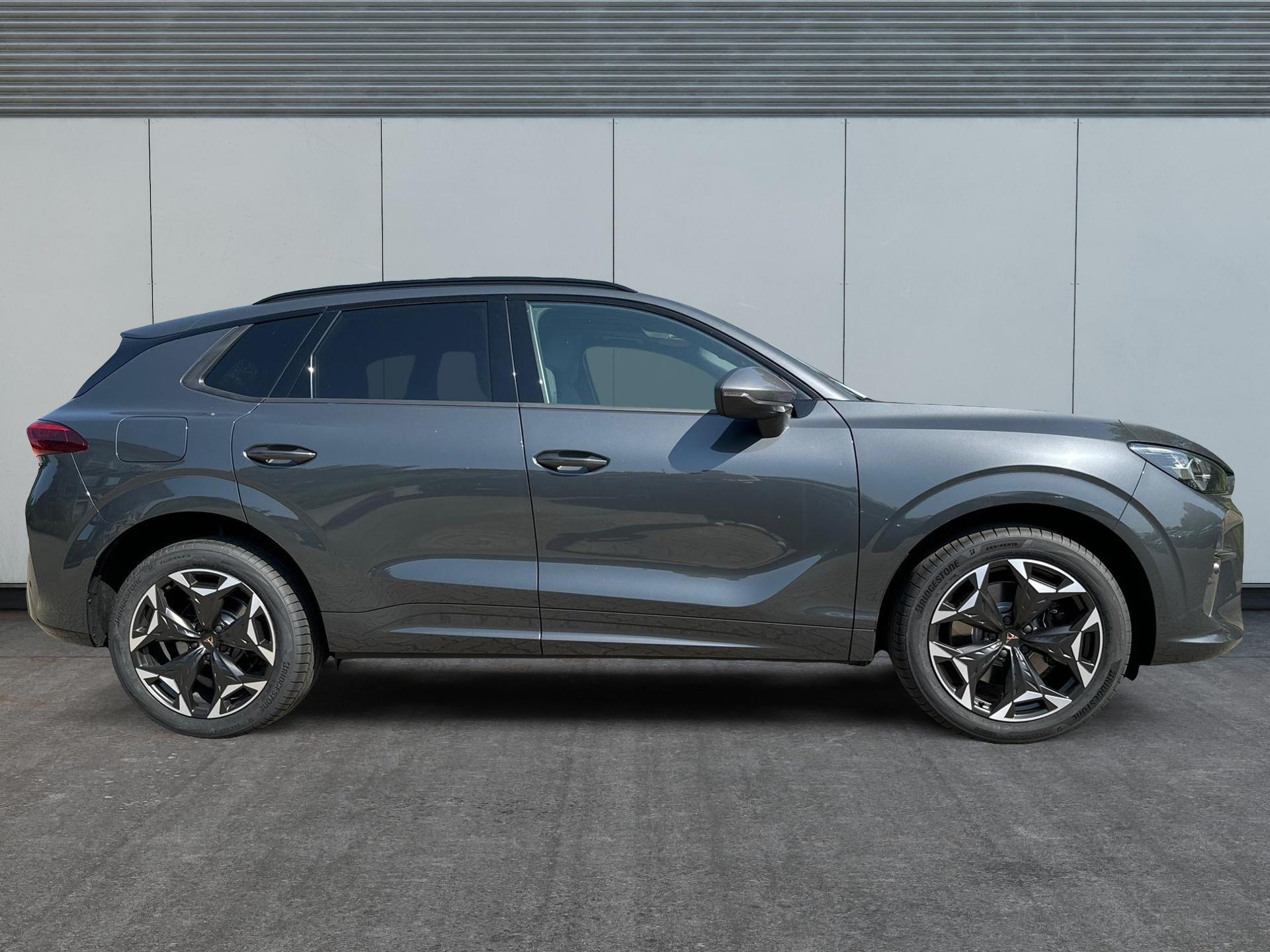 Cupra / Terramar /  /  /  / 