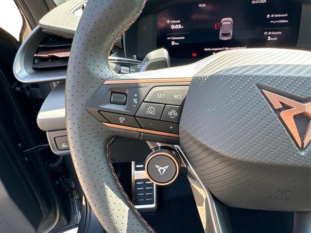 Cupra / Terramar / / / / 