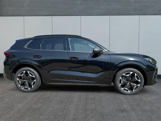 Cupra / Terramar / / / / 