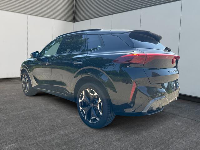 Cupra / Terramar / / / / 